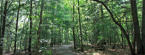 Green Ridge Trails Attractions, Catoosa Wildlife Management Area